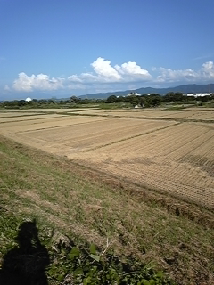 �����̉�