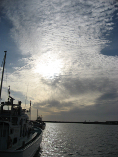 �΂��Ó�Q��