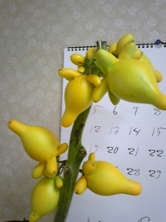 �������s��