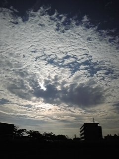 ������