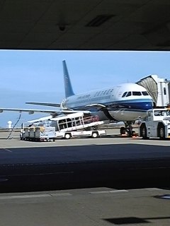 �������Ă��g���b�N��