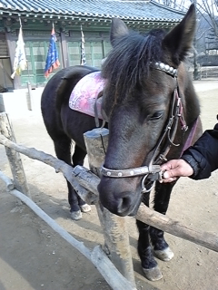 �▭�ȋ�����