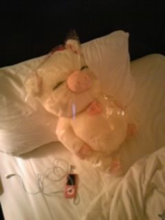 �K�^���Ă�