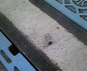 �q���E�q��