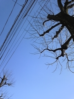 �R���W��