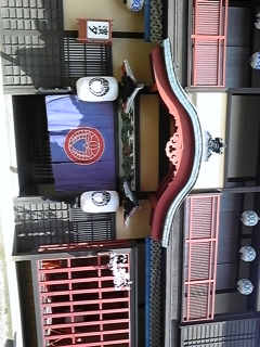 �V���E�J�v��