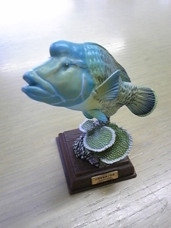 �i�|���I��