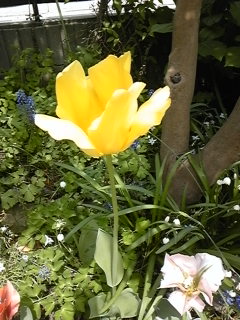 �\�\�~�\�����\