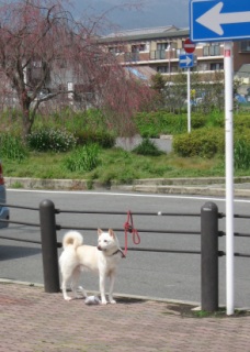 ������o���N