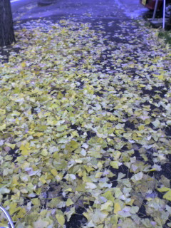 ���܂���C�G���[���[�h