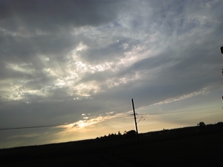 ��u�V�g�̒�q���v