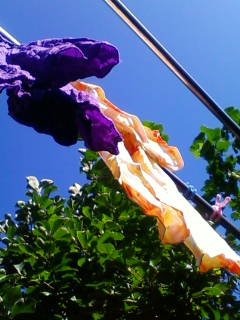 �C�����m