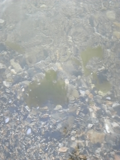 �������[�X