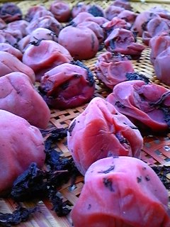 ��炵�̎|��