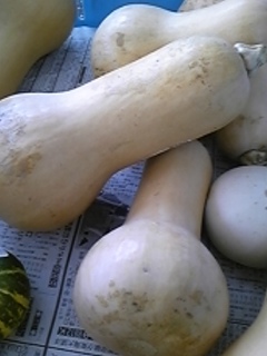 �c�n�c�neeeeeee�m