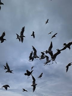 ���݂˂���