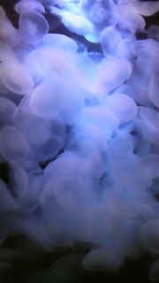 ���䂽������