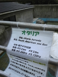 �e�ߊ��c�H