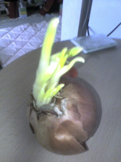 �L�b�`���Ŕ���!!